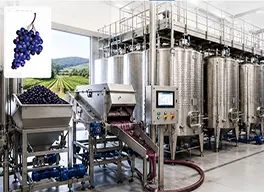 Wine Production Plant Design with SCADA Automation and Process Control